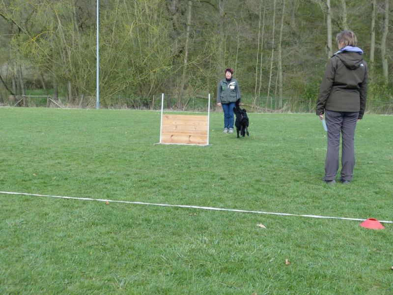 Obedience Prüfung 2015