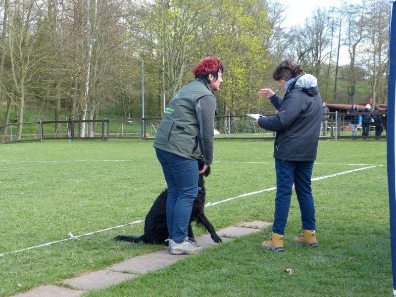 Obedience Prüfung 2015