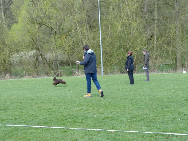 Obedience Prüfung 2015