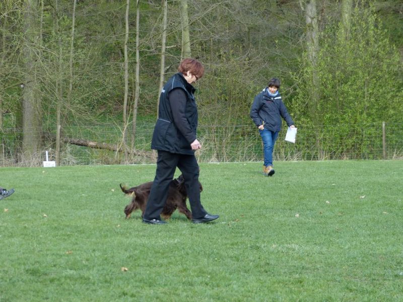 Obedience Prüfung 2015