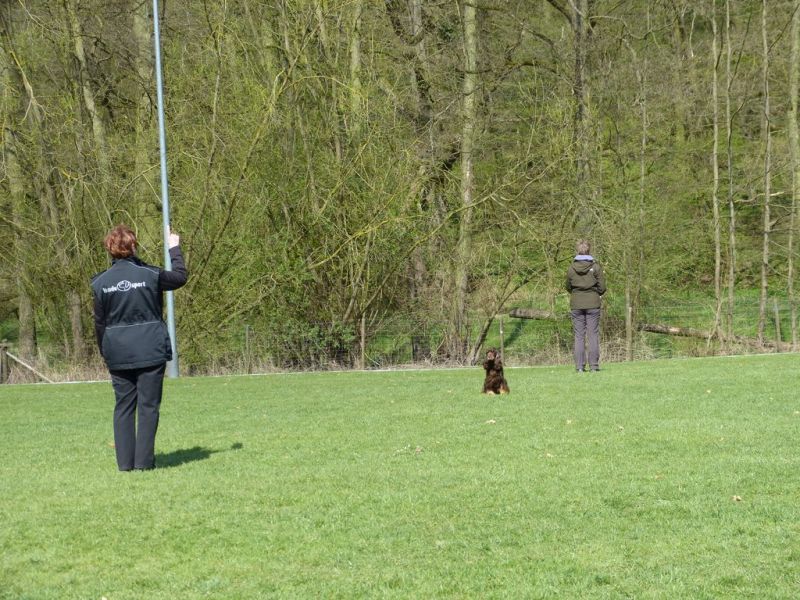 Obedience Prüfung 2015