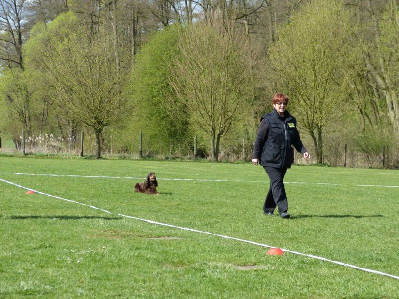 Obedience Prüfung 2015