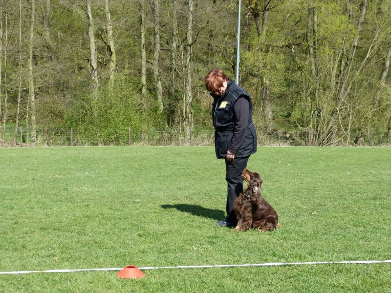 Obedience Prüfung 2015