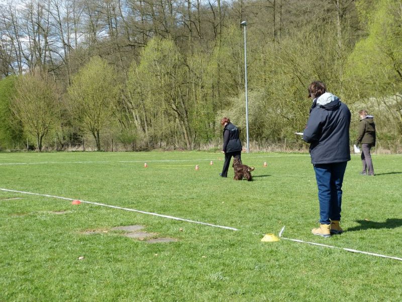 Obedience Prüfung 2015