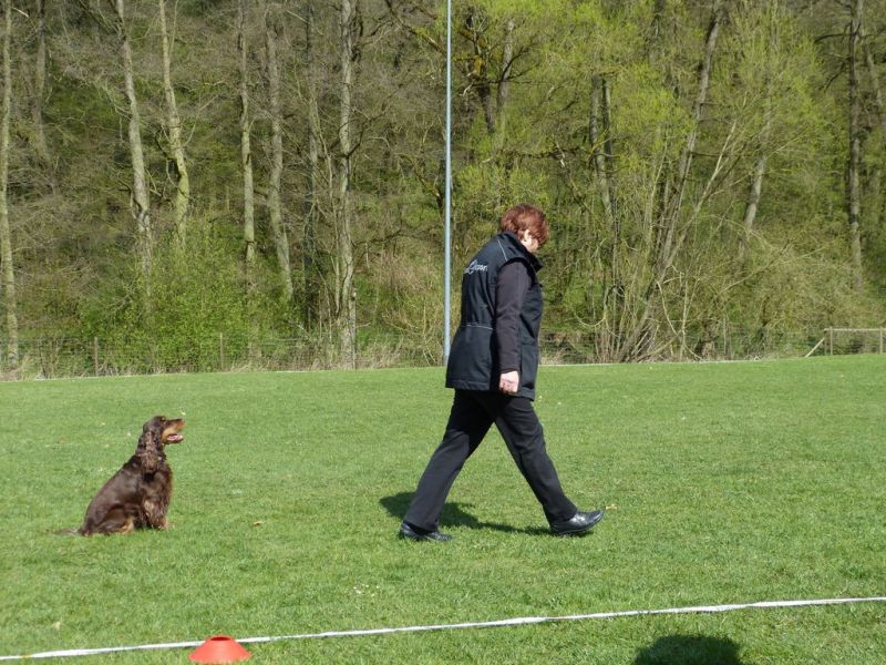 Obedience Prüfung 2015