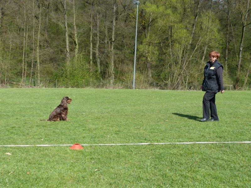 Obedience Prüfung 2015