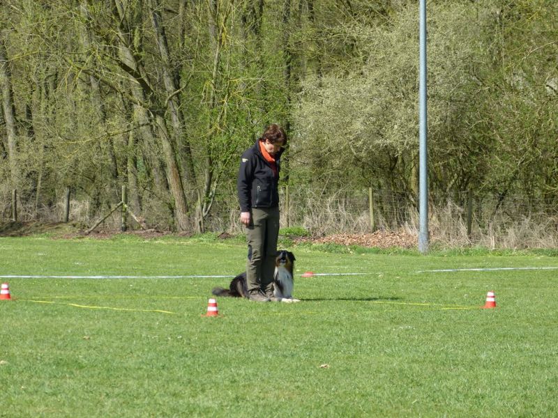 Obedience Prüfung 2015
