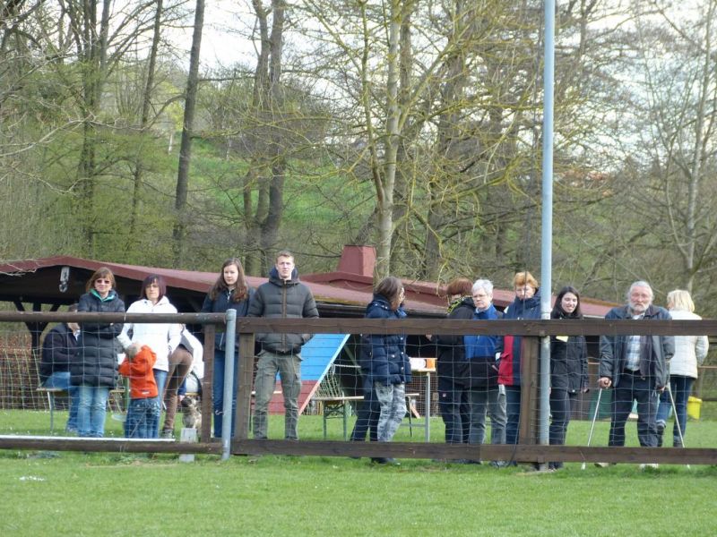 Obedience Prüfung 2015