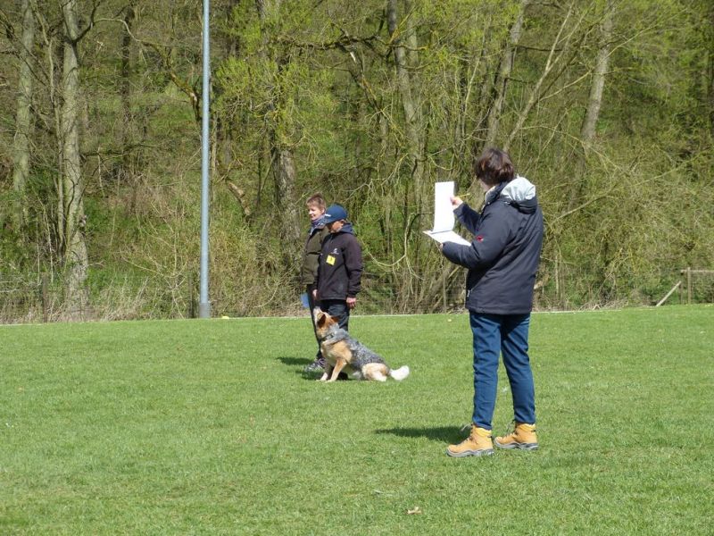 Obedience Prüfung 2015