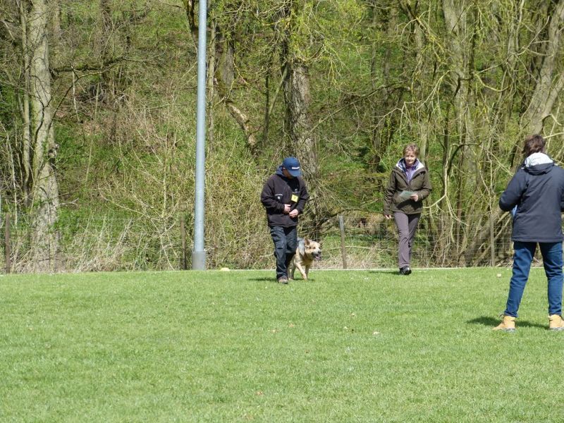 Obedience Prüfung 2015