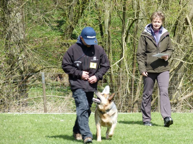Obedience Prüfung 2015