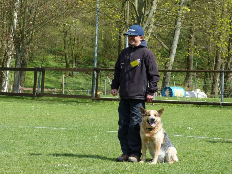 Obedience Prüfung 2015