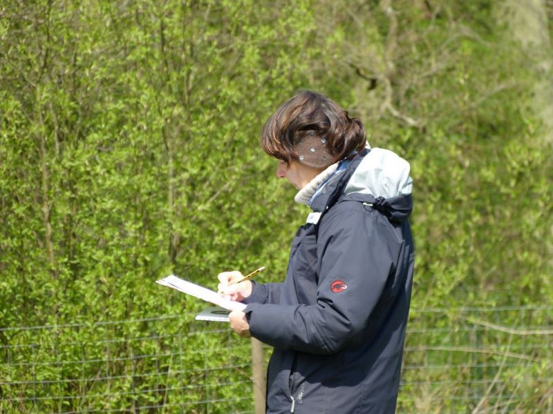 Obedience Prüfung 2015
