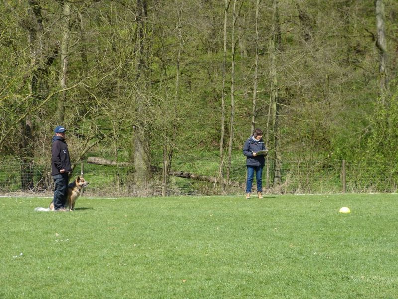 Obedience Prüfung 2015