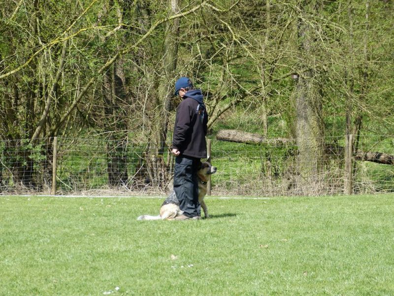 Obedience Prüfung 2015
