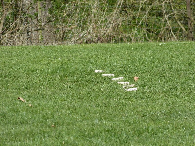 Obedience Prüfung 2015