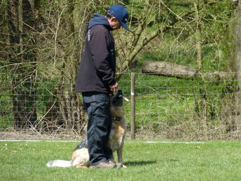 Obedience Prüfung 2015