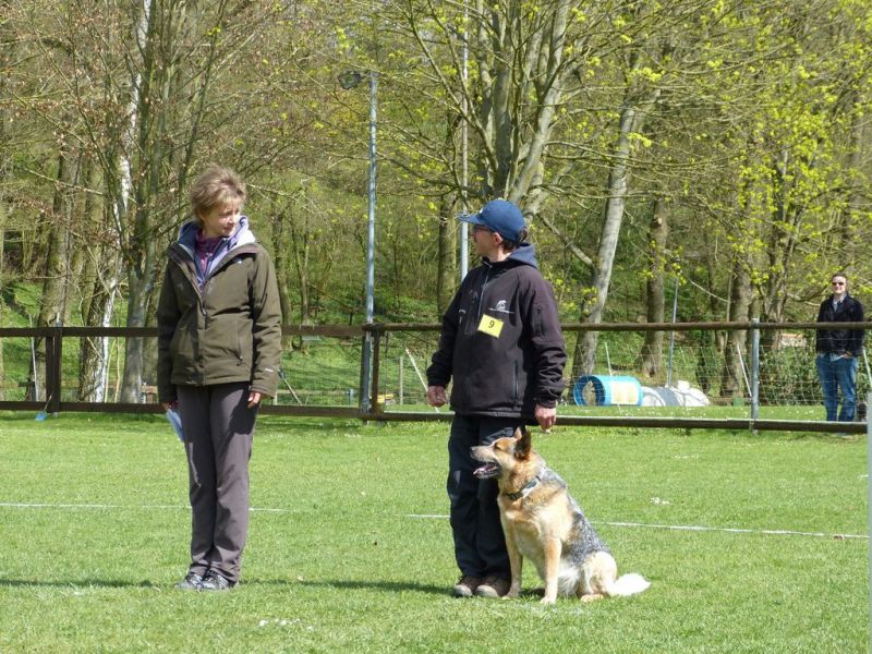Obedience Prüfung 2015