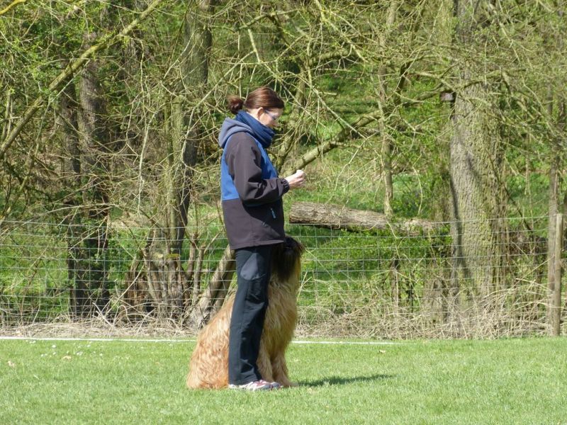 Obedience Prüfung 2015