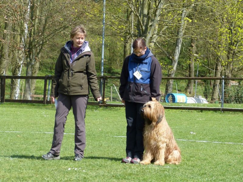 Obedience Prüfung 2015