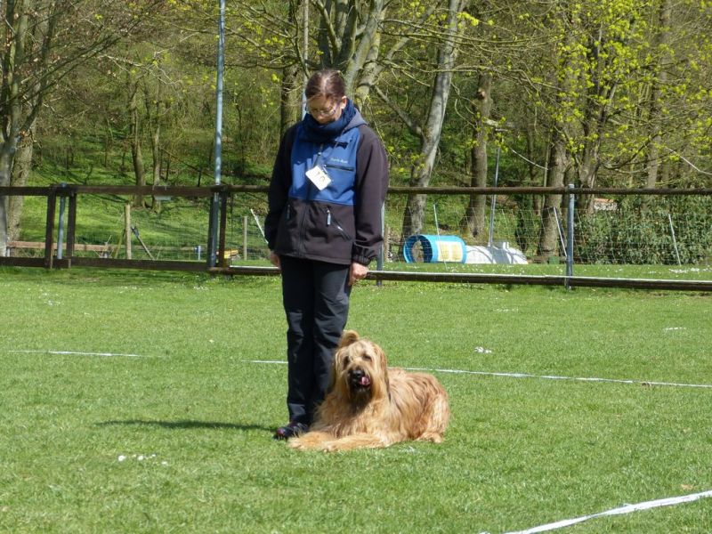Obedience Prüfung 2015