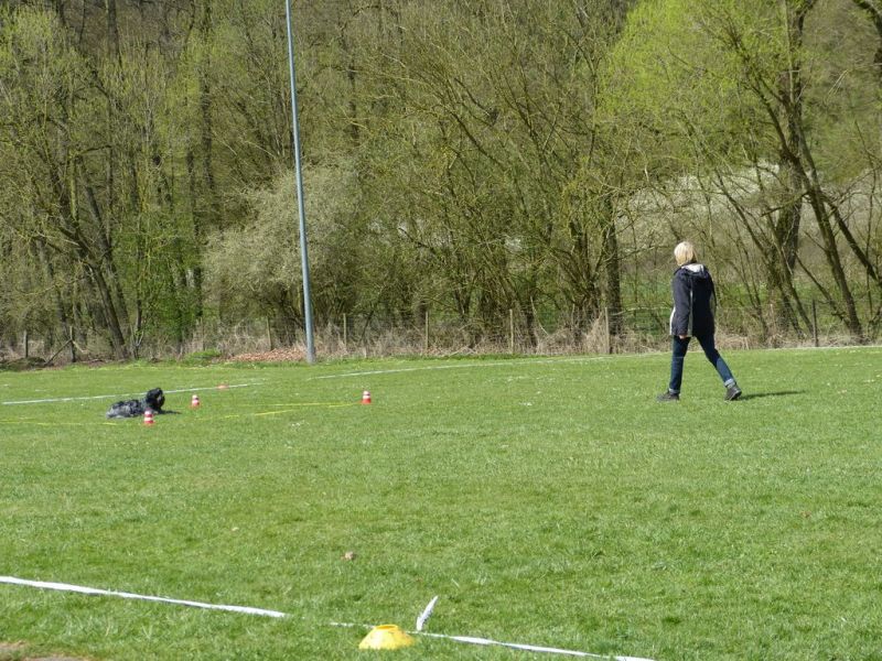 Obedience Prüfung 2015