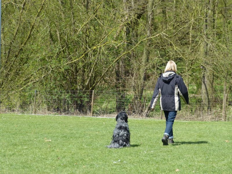 Obedience Prüfung 2015