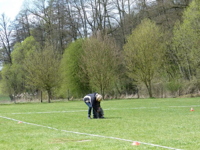 Obedience Prüfung 2015