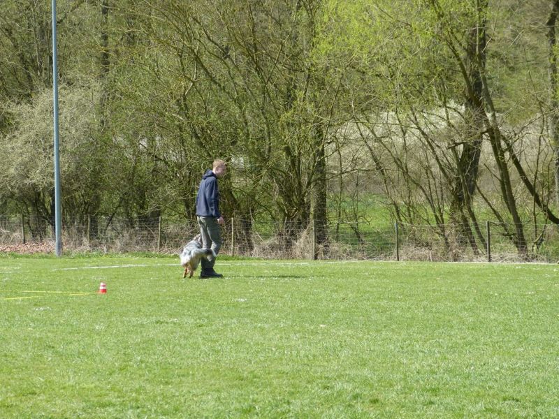 Obedience Prüfung 2015