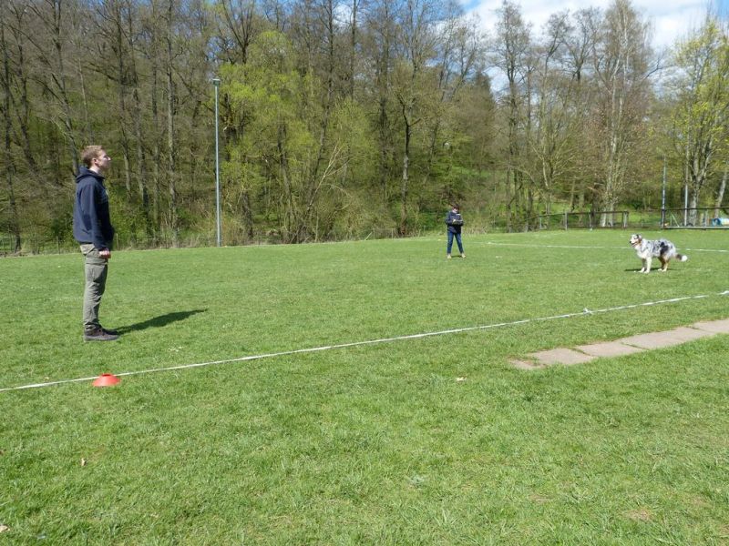 Obedience Prüfung 2015