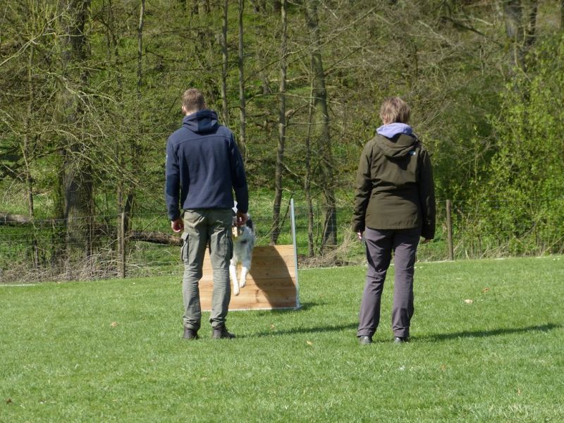Obedience Prüfung 2015