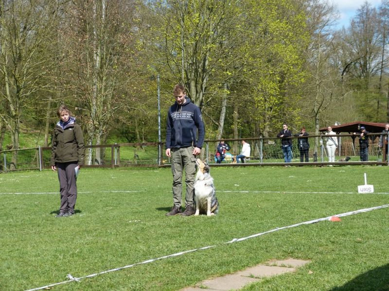 Obedience Prüfung 2015