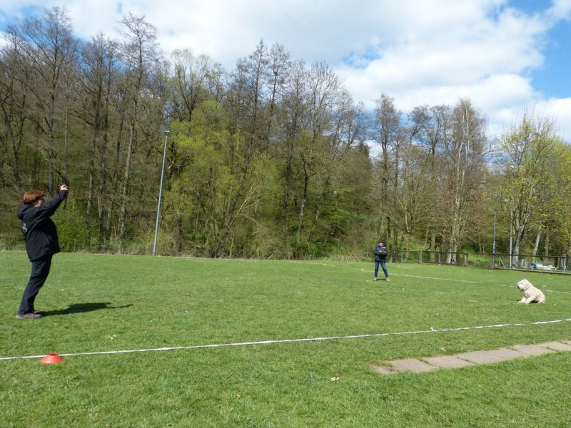 Obedience Prüfung 2015