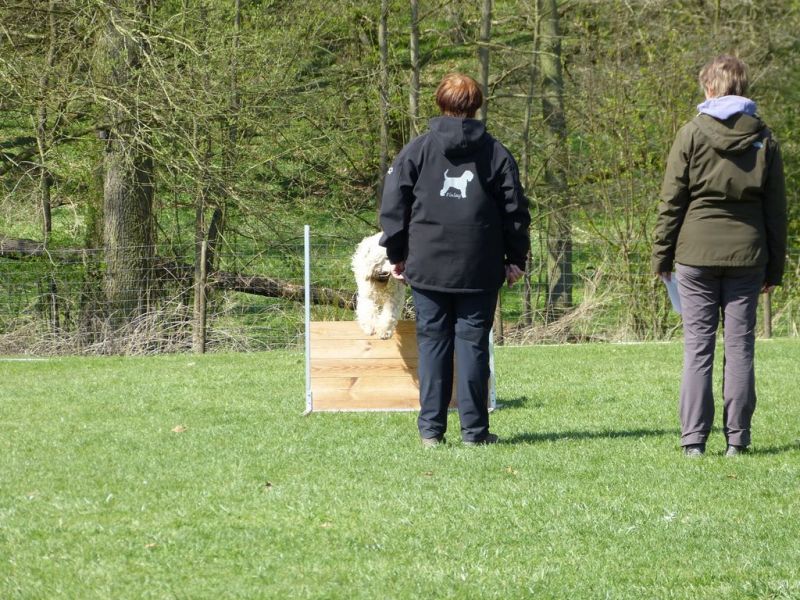 Obedience Prüfung 2015
