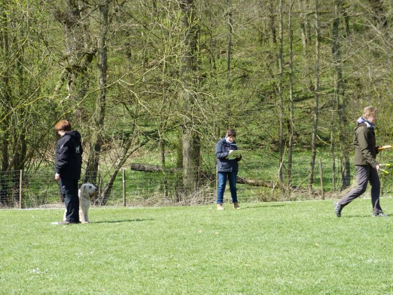 Obedience Prüfung 2015