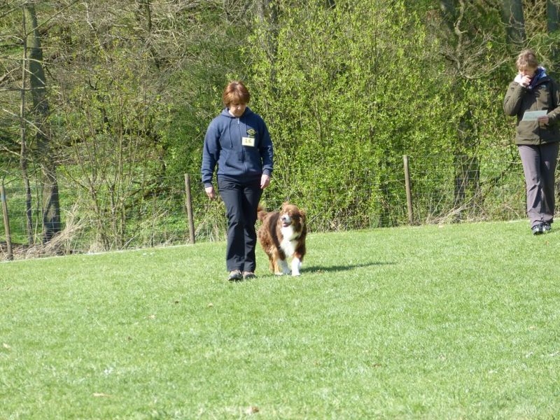 Obedience Prüfung 2015