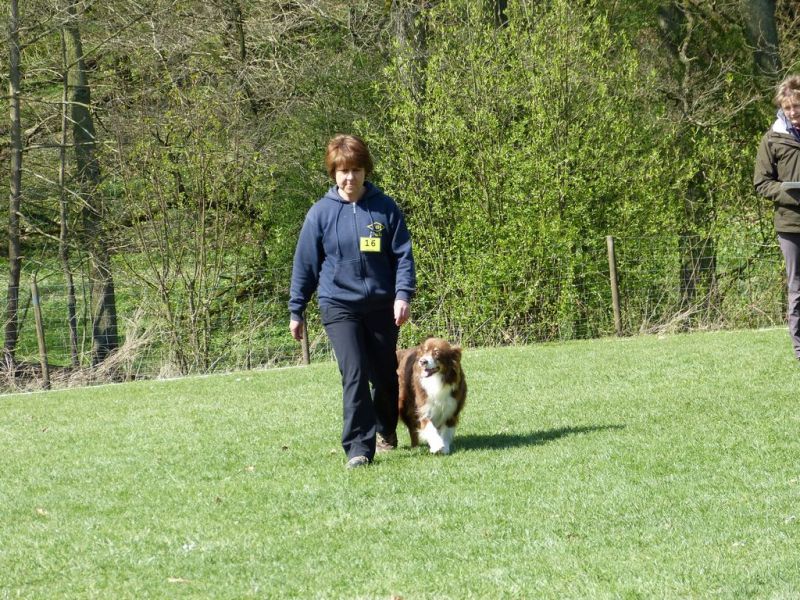 Obedience Prüfung 2015