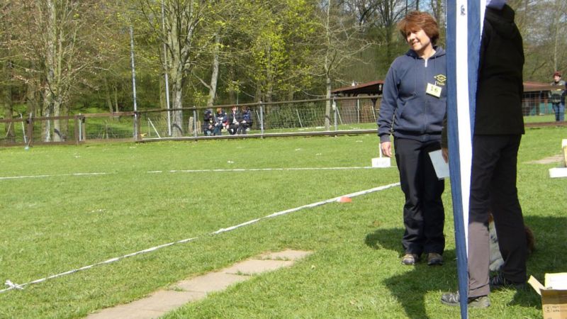Obedience Prüfung 2015