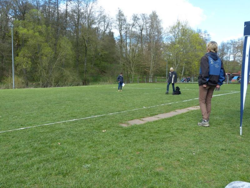 Obedience Prüfung 2015