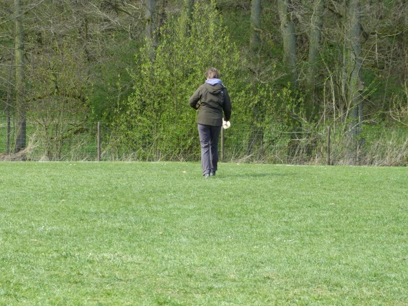Obedience Prüfung 2015