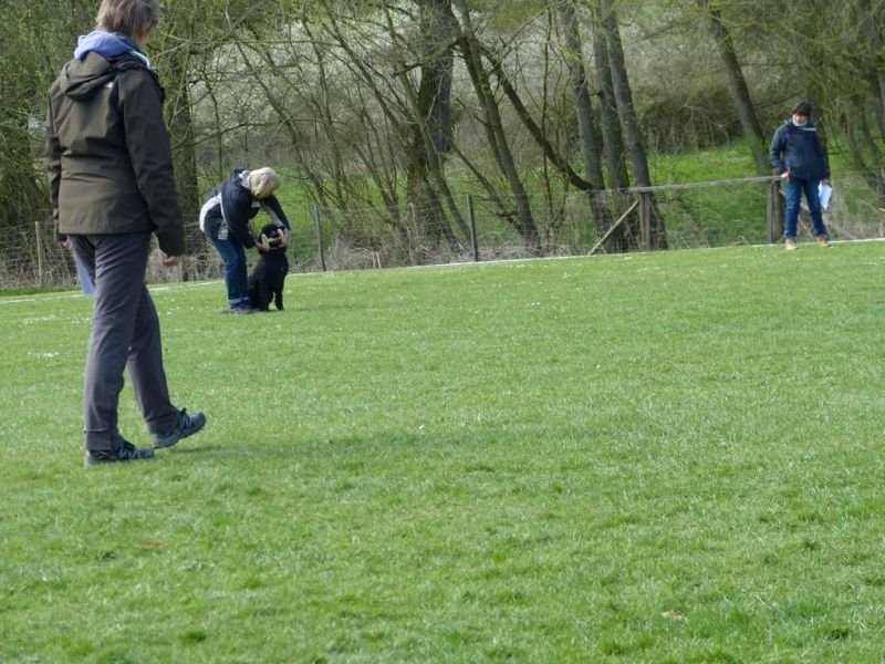Obedience Prüfung 2015
