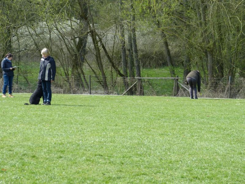 Obedience Prüfung 2015