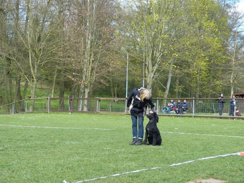 Obedience Prüfung 2015