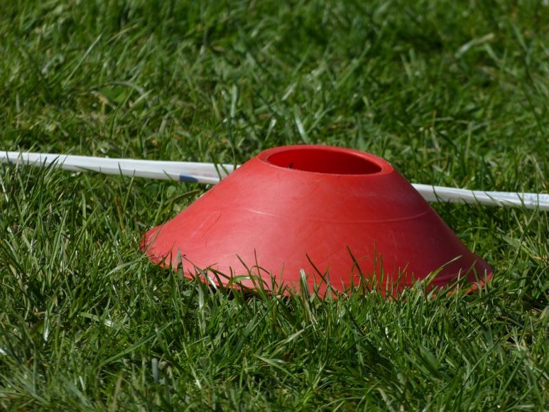 Obedience Prüfung 2015