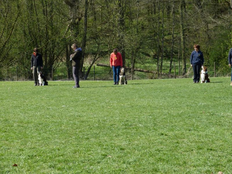 Obedience Prüfung 2015