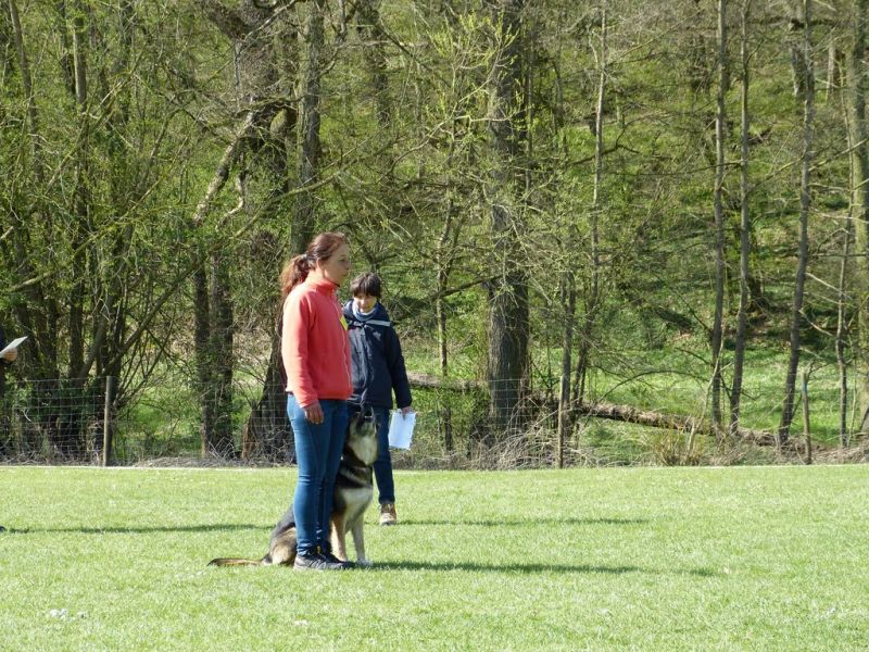 Obedience Prüfung 2015