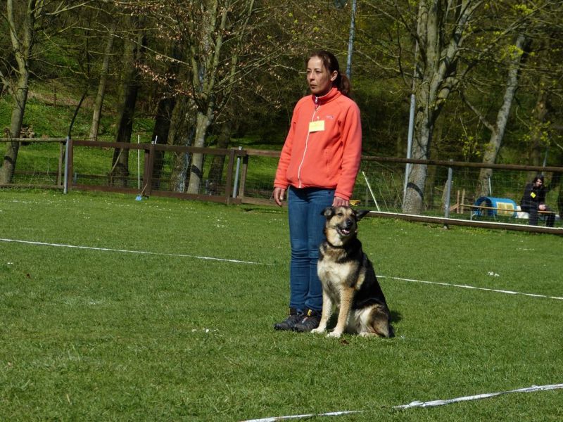 Obedience Prüfung 2015