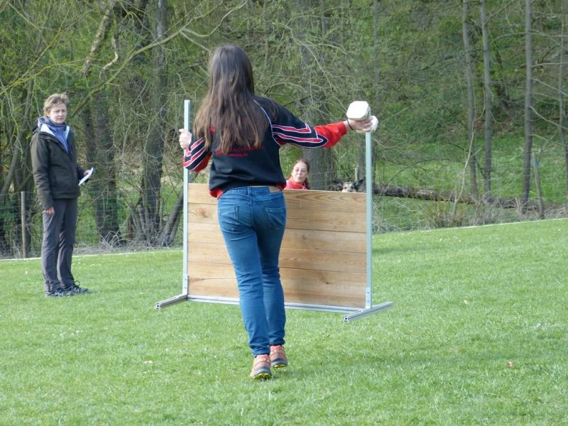 Obedience Prüfung 2015