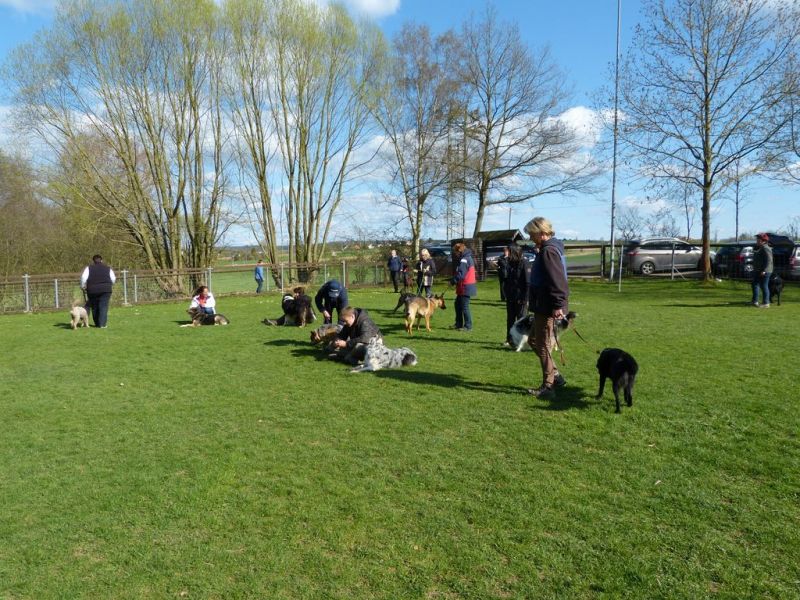 Obedience Prüfung 2015