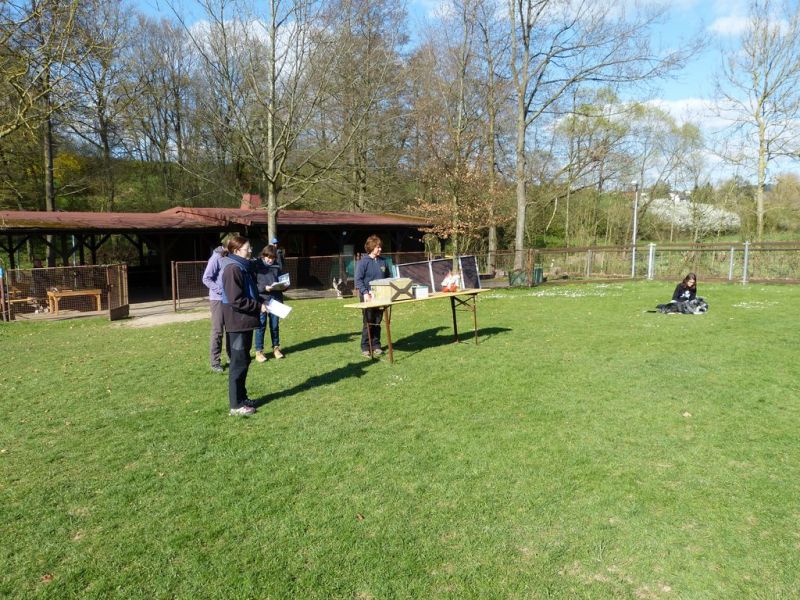 Obedience Prüfung 2015